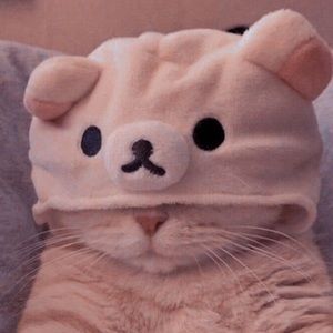 Meet your Posher, Graceyn